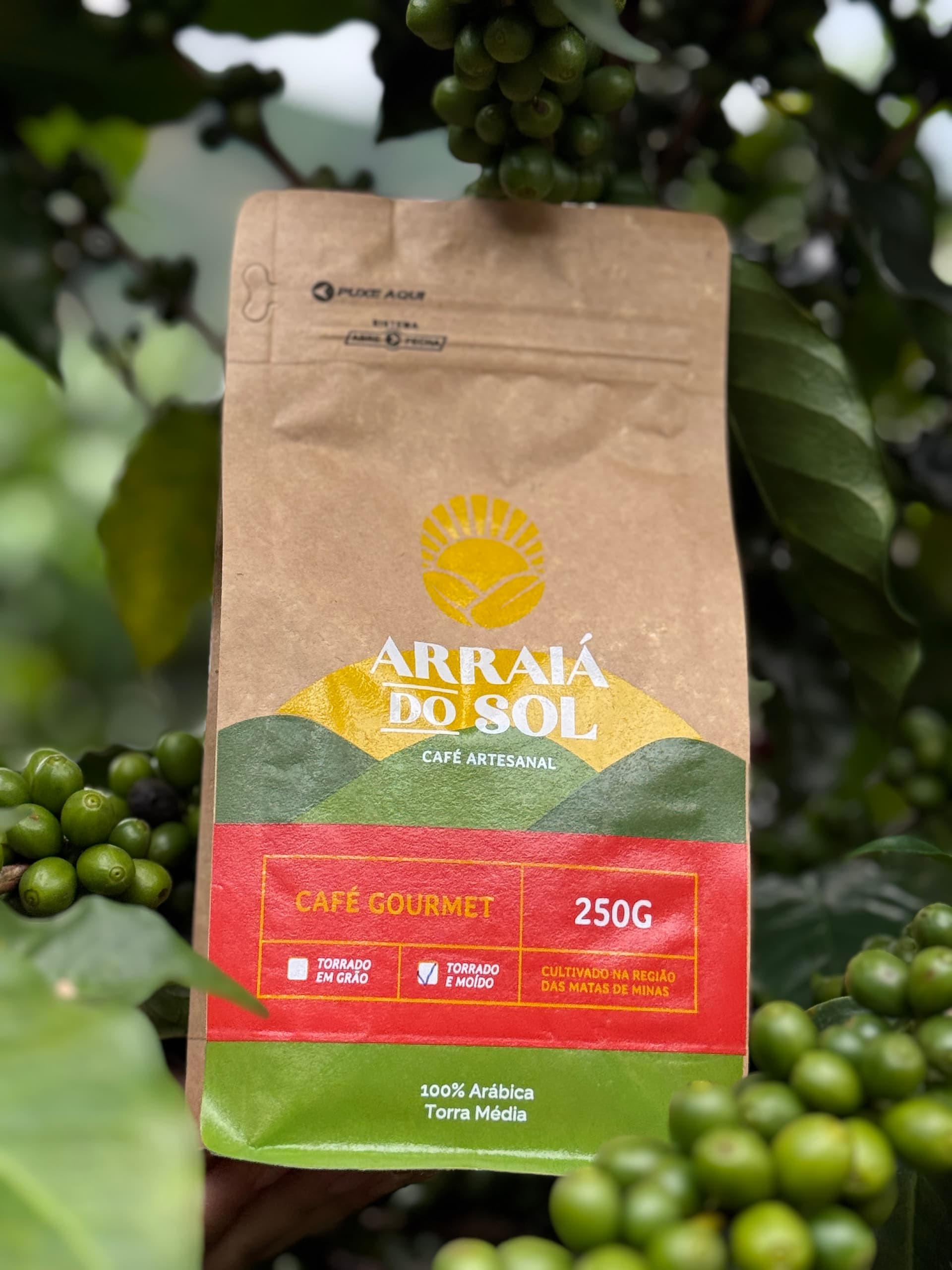 Pacote de café Arraiá do Sol no pé de café
