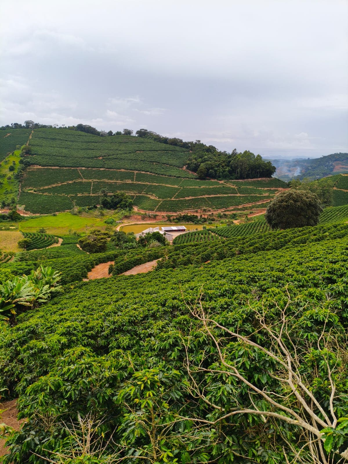 Vista Panorâmica do Sítio Posse da Cachoeira